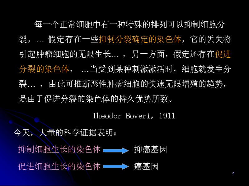 肿瘤遗传学.ppt_第2页