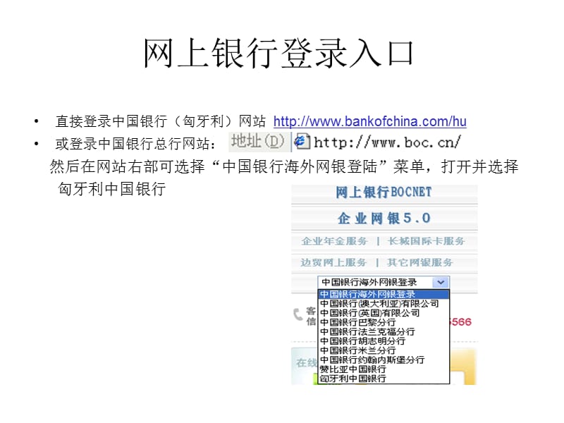 【银行】中国银行（匈牙利）NetBank网上银行个人客户操作指南.ppt_第2页
