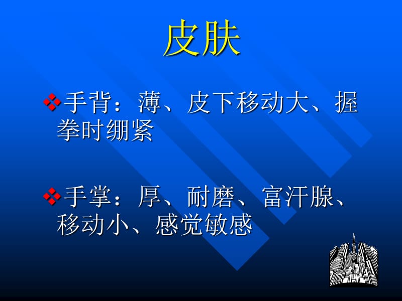 手部解剖特点.ppt_第2页