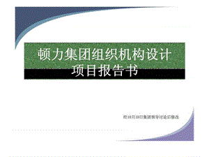 顿力集团组织机构设计项目报告书.ppt