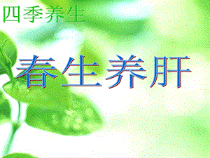 春季养肝-宣传篇 ppt课件.ppt