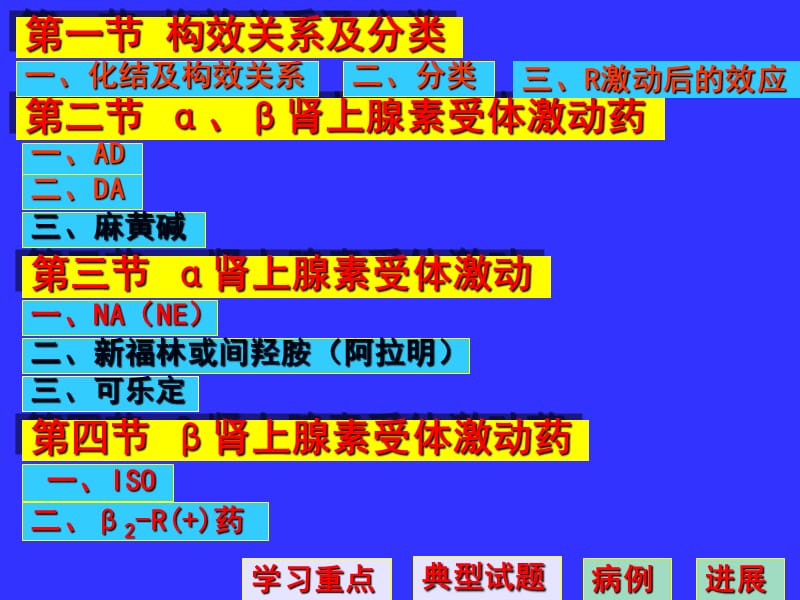 第10章 肾上腺素受体激动药.ppt_第3页