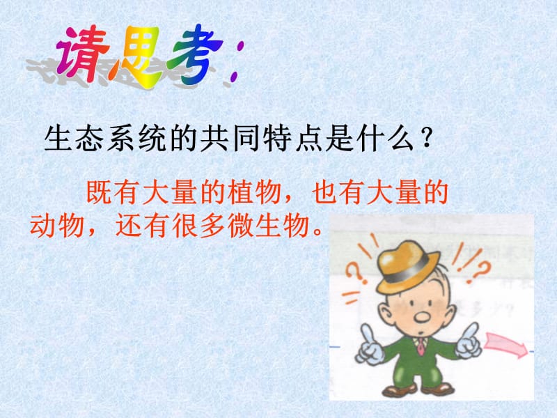 561-生态系统的结构.ppt_第3页