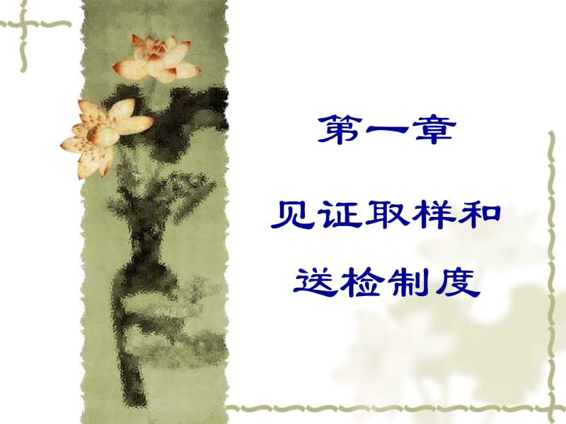 见证取样1.ppt_第2页