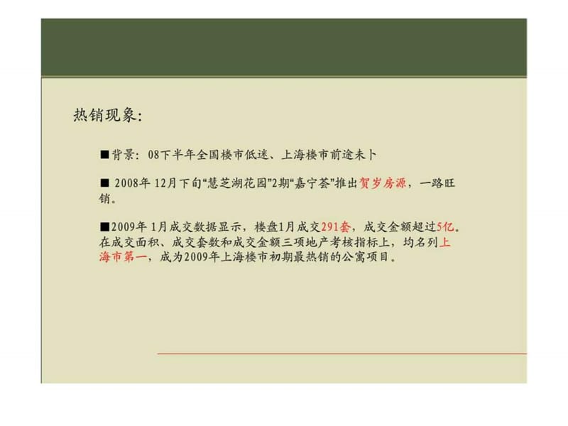 上海“慧芝湖花园”2期——09年初热销探究.ppt_第2页