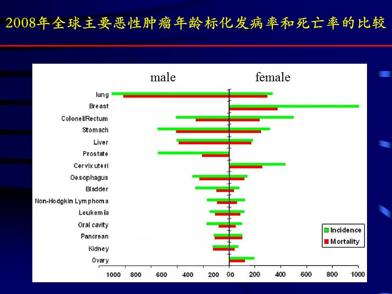 乳腺超声诊断.ppt_第3页