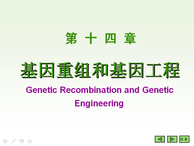 基因重组和基因工程课件.ppt_第1页