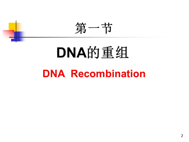 基因重组和基因工程课件.ppt_第2页