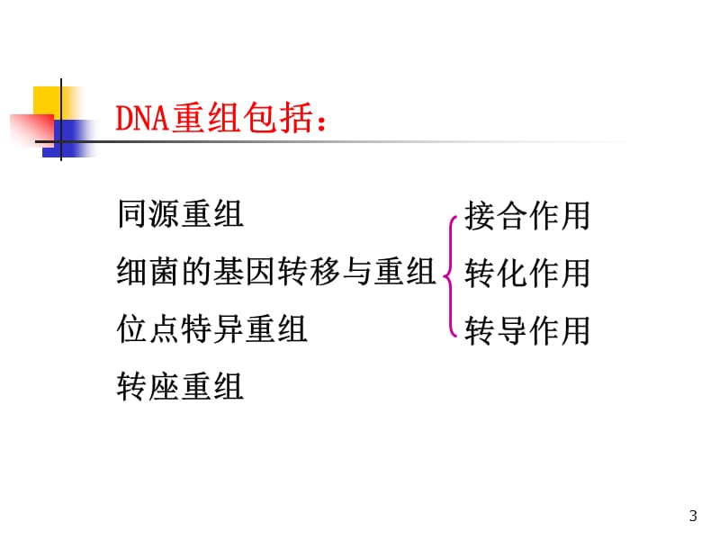 基因重组和基因工程课件.ppt_第3页