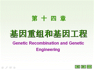 基因重组和基因工程课件.ppt