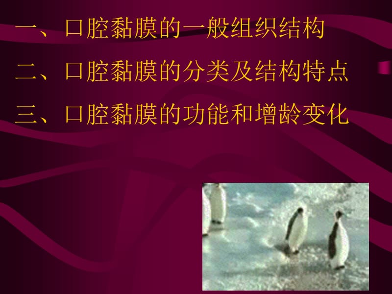 口腔黏膜课件.ppt_第3页