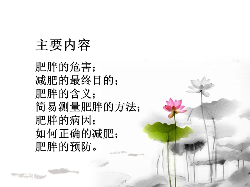 减肥与减肥.ppt_第2页