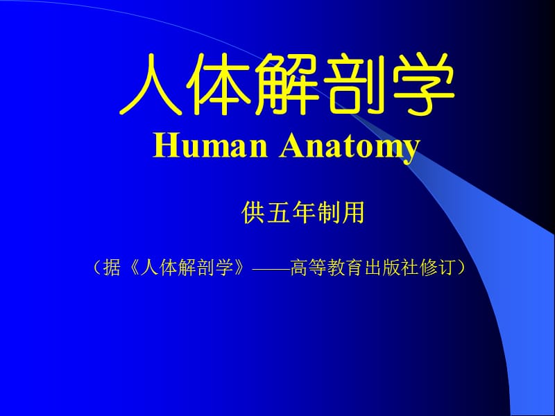 人体解剖学骨学.ppt_第1页