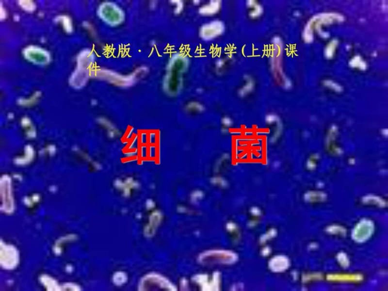 人教版八年级生物学(上册)课件gg.ppt_第1页