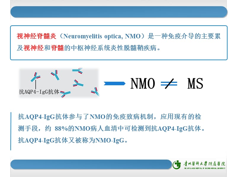 副肿瘤性视神经脊髓炎谱系疾病 ppt课件.ppt_第2页