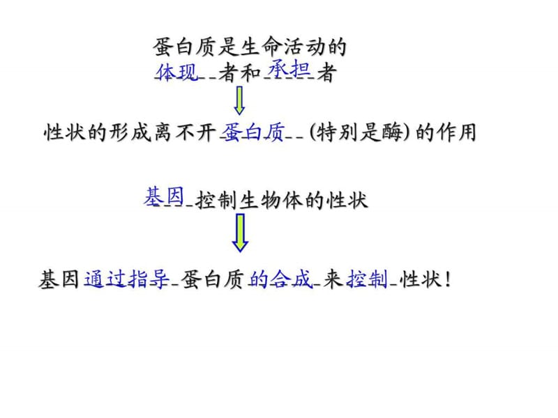 人教版咭簧锉匦薅课件)4.1基因指导蛋白质的合成 (....ppt.ppt_第2页