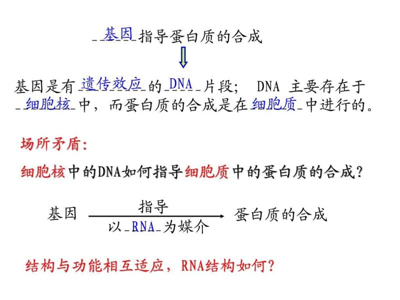 人教版咭簧锉匦薅课件)4.1基因指导蛋白质的合成 (....ppt.ppt_第3页