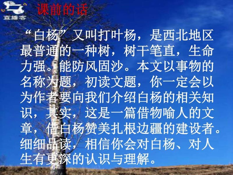 人教版五年级语文下册《白杨》课件.ppt.ppt_第2页