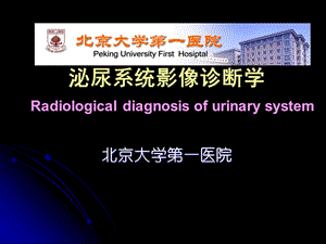 北京大学医学院专升本泌尿系统 ppt课件.ppt