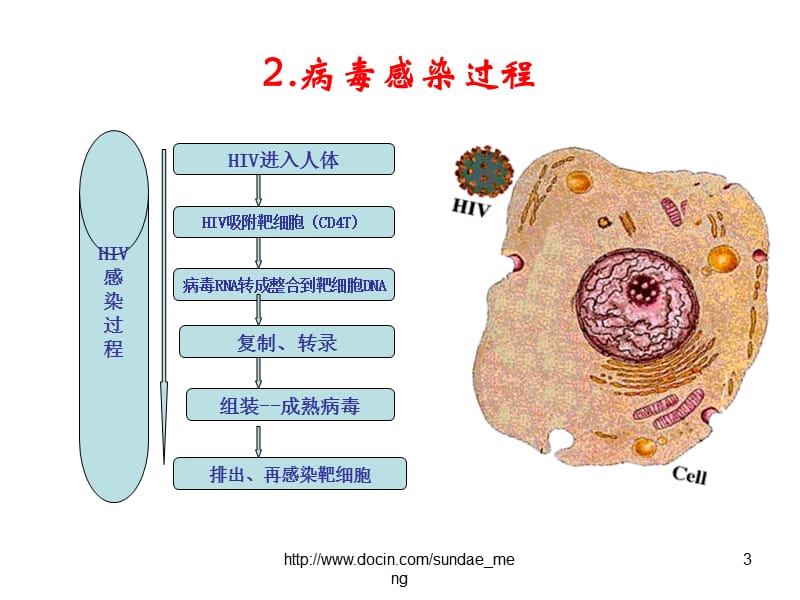 【大学】健康教育课件《抗击艾滋,从我做起》.ppt_第3页