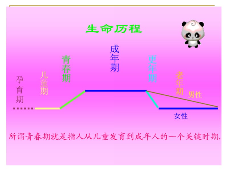 培训资料-拥抱青春做健康女生2014年春.ppt_第3页