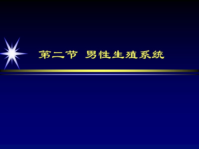 培训课件-男性生殖系统疾病影像诊断 ppt课件.ppt_第2页