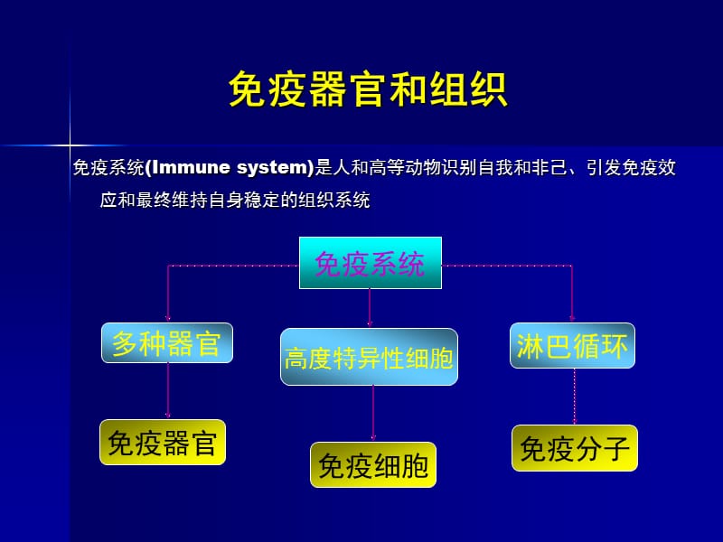 免疫系统疾病及其药物治疗.ppt_第3页