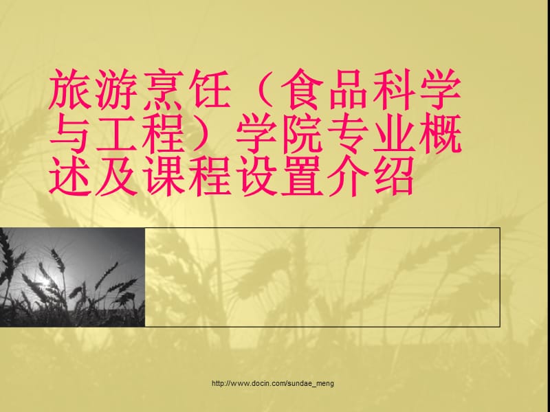 【大学】旅游烹饪学院专业概述及课程设置介绍.ppt_第1页