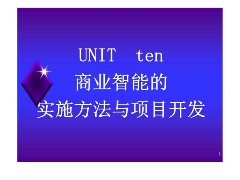 商业智能的实施方法与项目开发.ppt_第1页