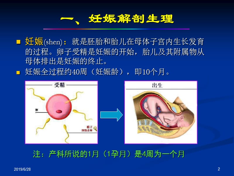 产科正常超声检查与诊断 ppt课件.ppt_第2页