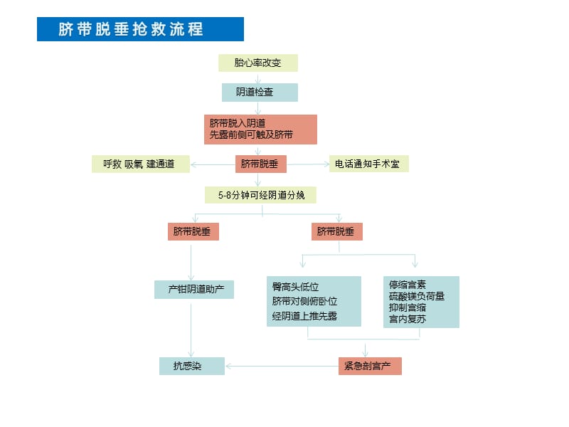 产科急危重症急救流程 ppt课件.ppt_第3页