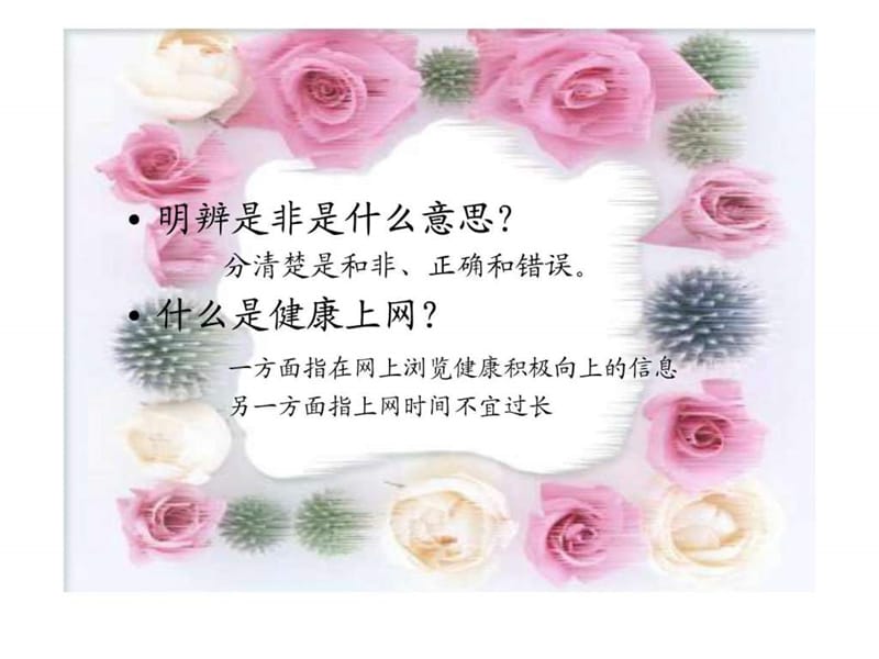 明辨是非,健康上网的主题班会.ppt_第2页