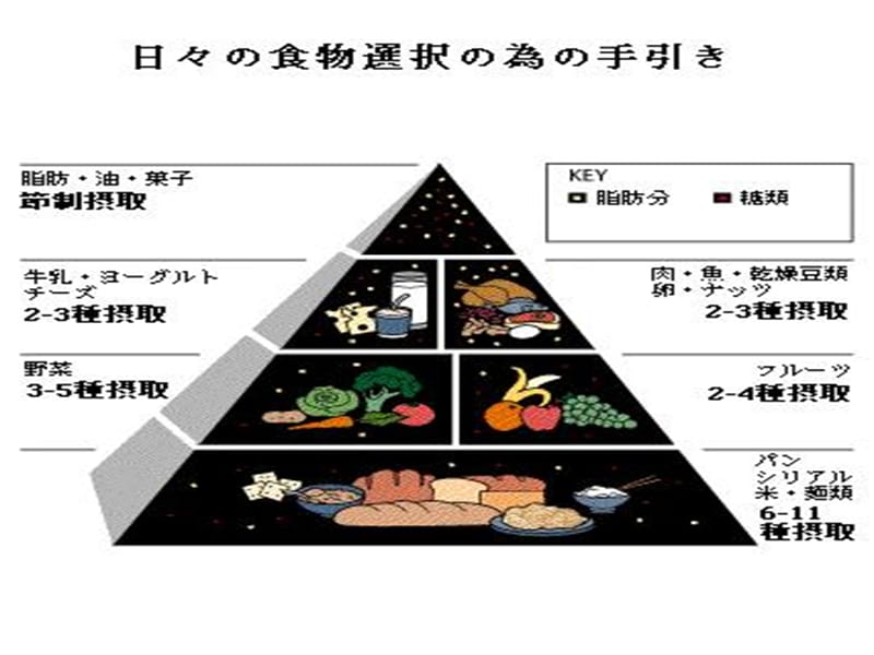 儿童营养与喂养.ppt_第2页