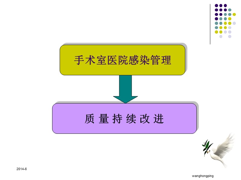 培训资料--手术室医院感染管理与质量持续改进.ppt_第2页