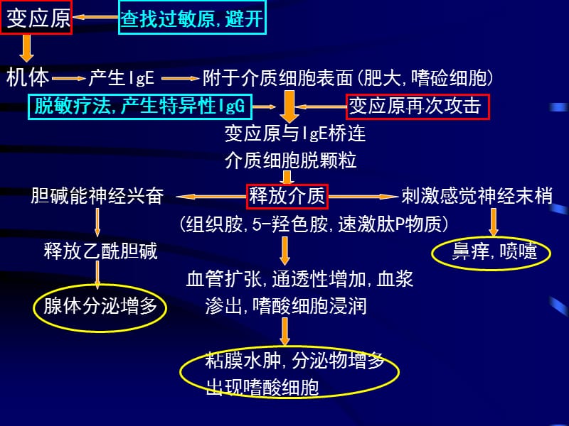 培训资料-鼻外伤出血过敏.ppt_第3页