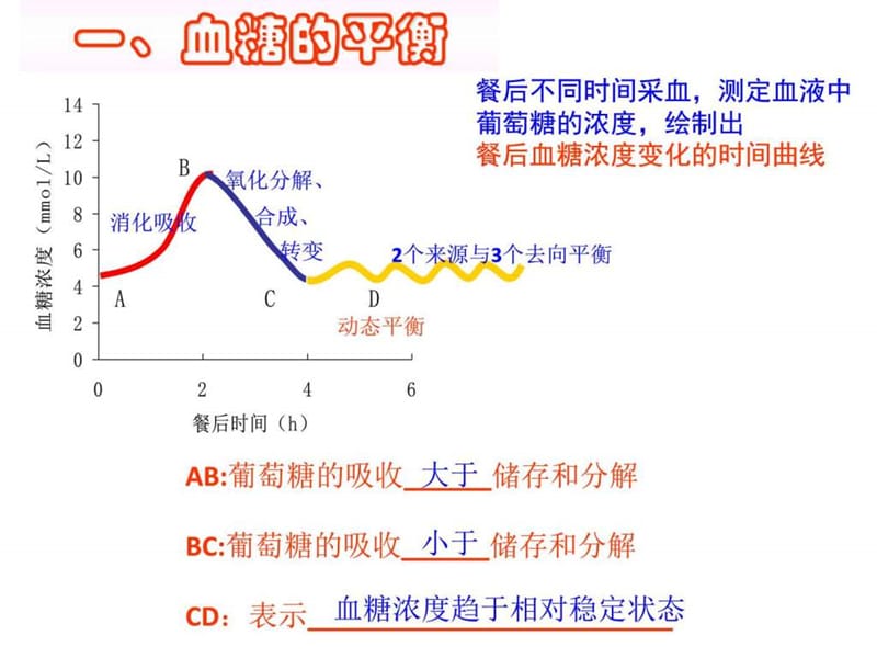 上海高考高三生物复习血糖的平衡及其调节.ppt.ppt_第3页
