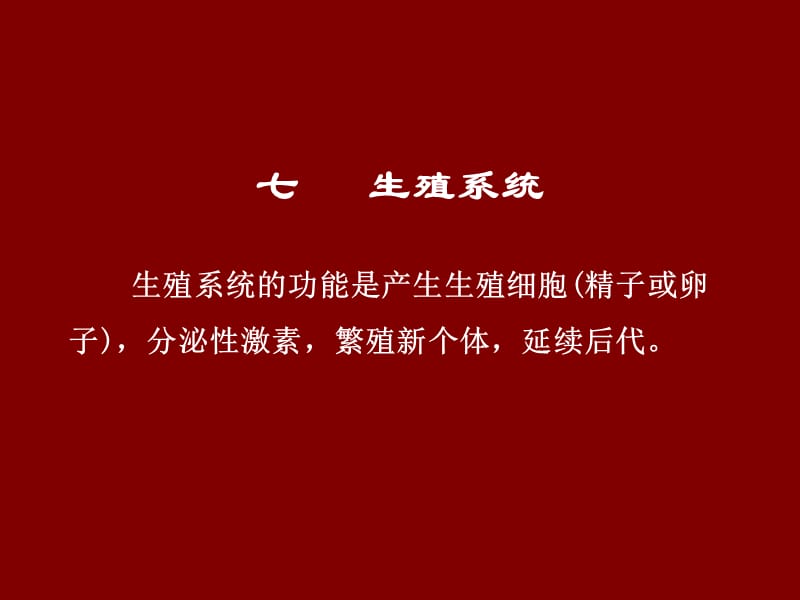 动物解剖学之生殖系统 ppt课件.ppt_第1页