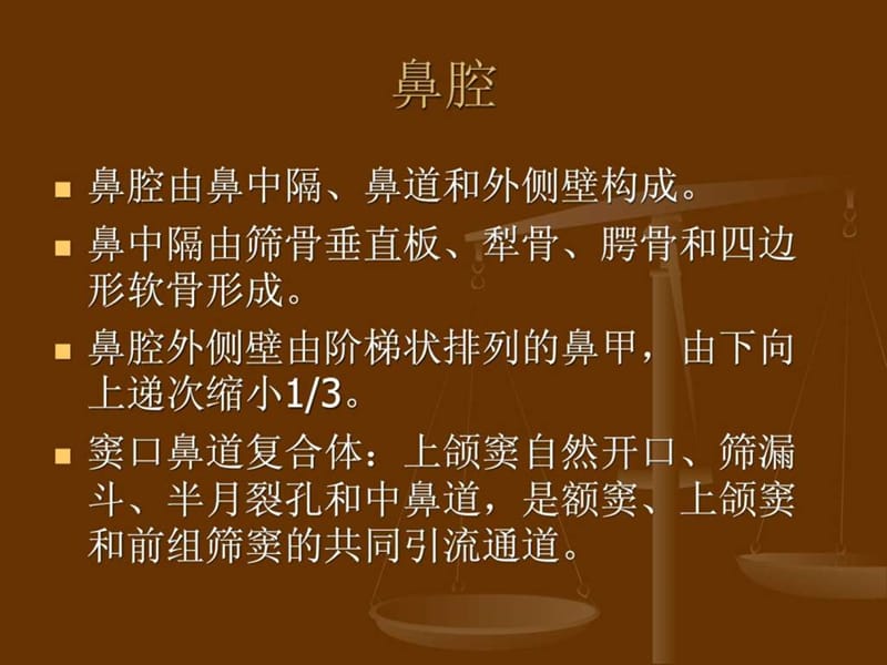 南昌大医学鼻部.ppt_第3页