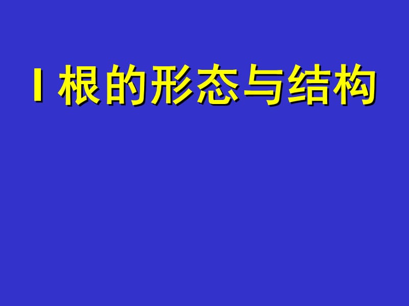 安徽大学生命科学学院--根2013.ppt_第3页