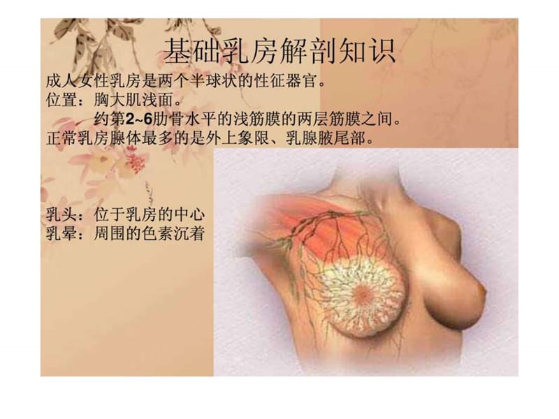 乳腺外科基本讲解_图文.ppt.ppt_第2页