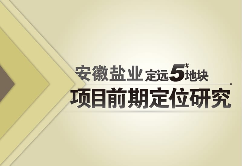 定远某地块 项目前期定位研究130p.ppt_第1页