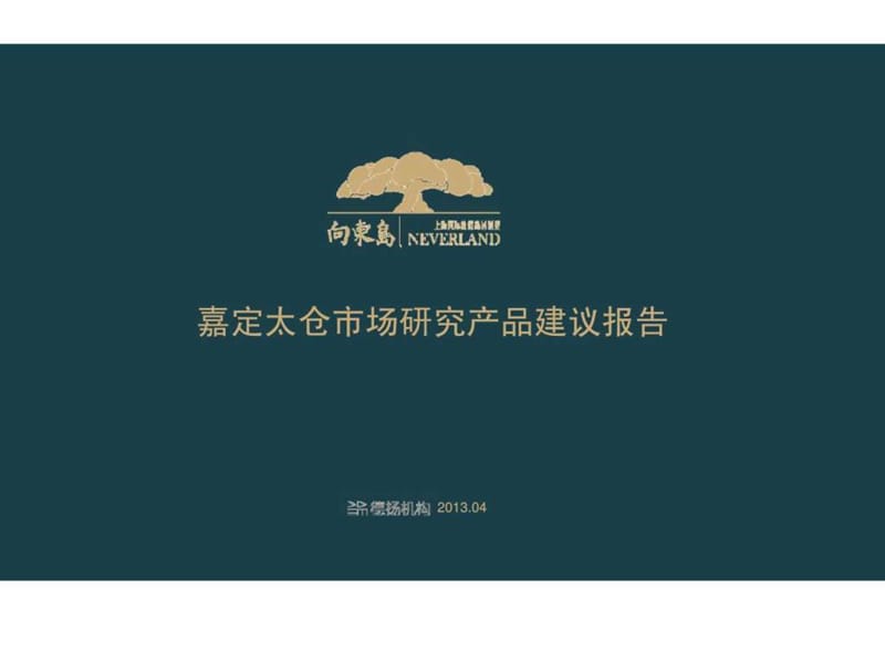 上海嘉定太仓项目市场研究产品建议报告前期策划.ppt_第1页