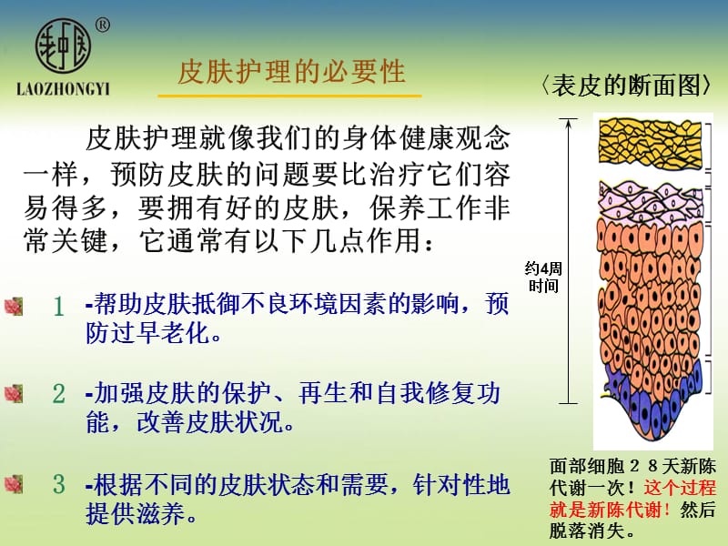 混合性肌肤护理.ppt_第3页