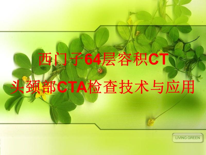 头颈部CTA.ppt_第1页