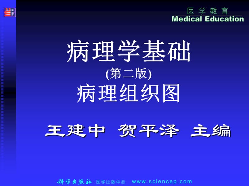 病理学基础病理组织图谱.ppt_第1页