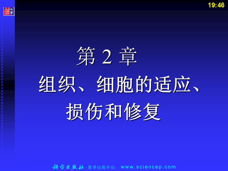 病理学基础病理组织图谱.ppt_第2页