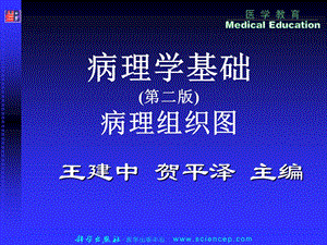 病理学基础病理组织图谱.ppt