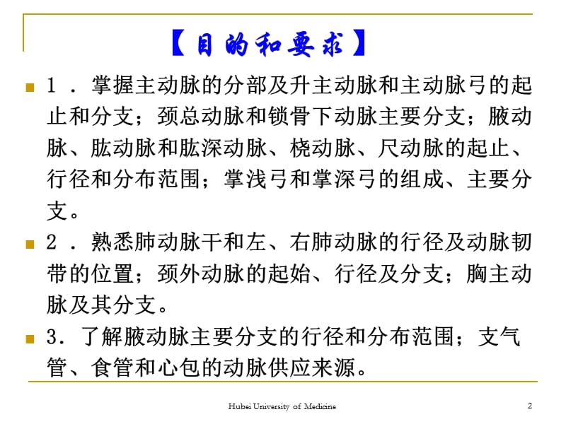 《系统解剖学》教学资料 动脉1.ppt_第2页