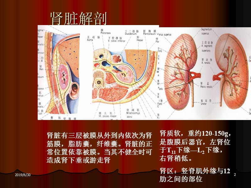 尿石症梗阻及其他 ppt课件.ppt_第2页