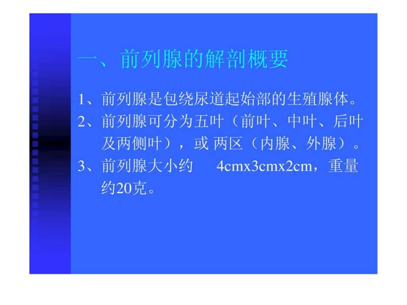 男性科超声诊断学(全版).ppt.ppt_第3页